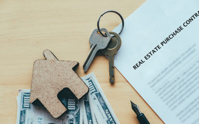 Understanding the Property Transfer Process
